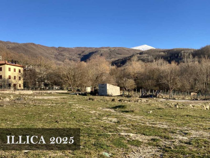 2025-ILLICA