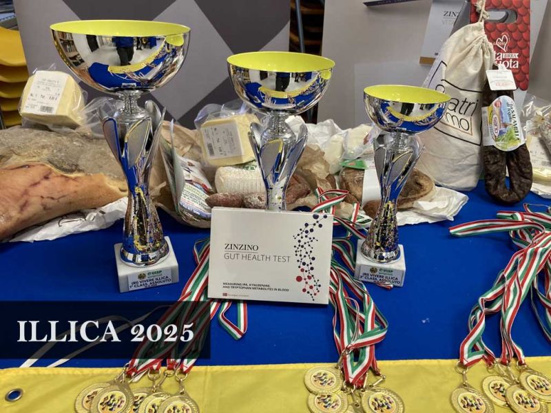 2025-ILLICA